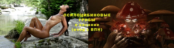 apvp Алексин