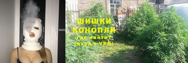 apvp Алексин