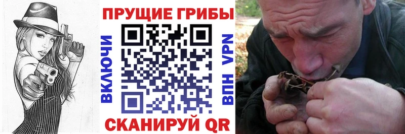 Псилоцибиновые грибы Psilocybine cubensis гидра как войти Шелехов